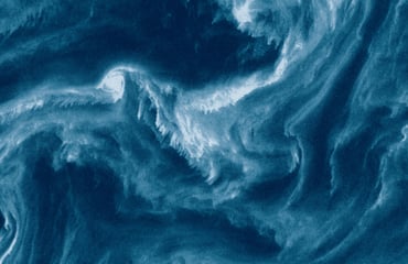 Viridescent, Afire: An Artistic View of Our Changing Seas, Photography Competition & Awards