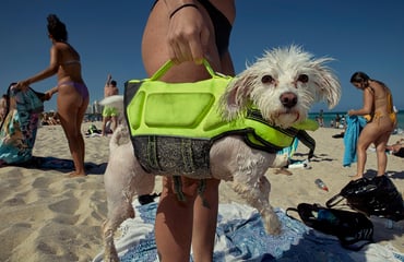 168网开奖查询记录结果+飞艇历史记录查询结果体彩网 Beach Epiphany, Photography Competition & Awards