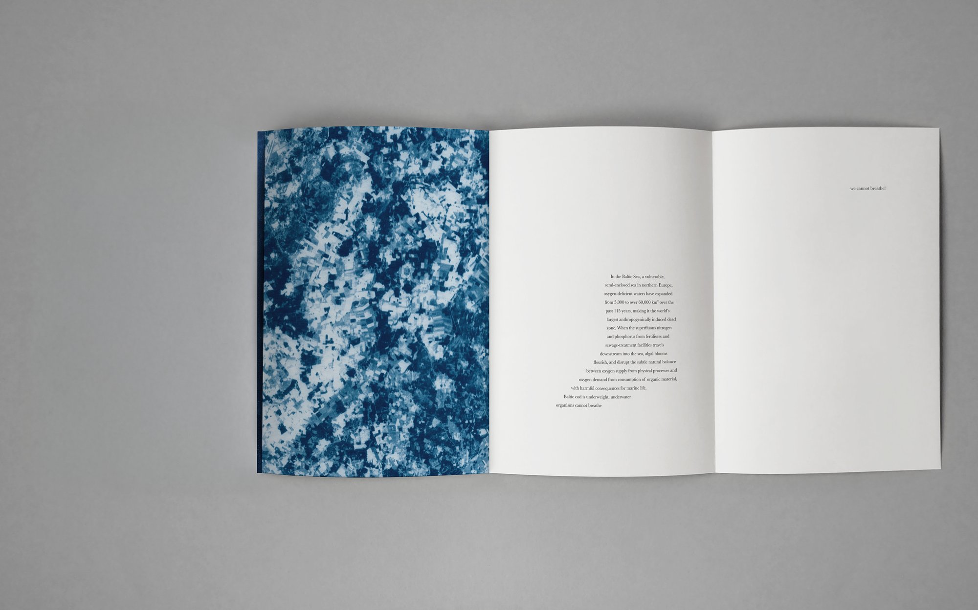 Spread from the book "viridescent, afire" © Małgorzata Stankiewicz