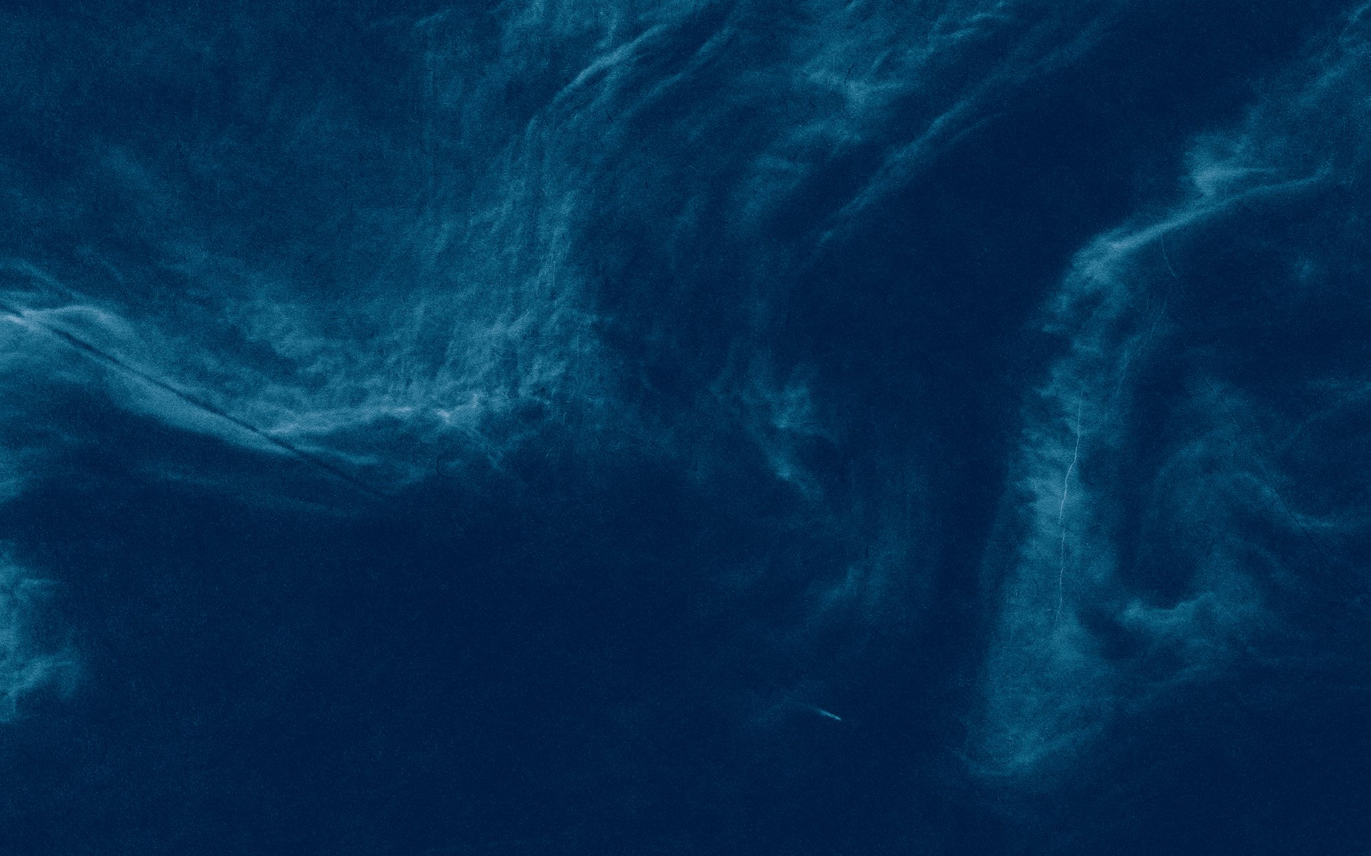 From the book "viridescent, afire" © Małgorzata Stankiewicz