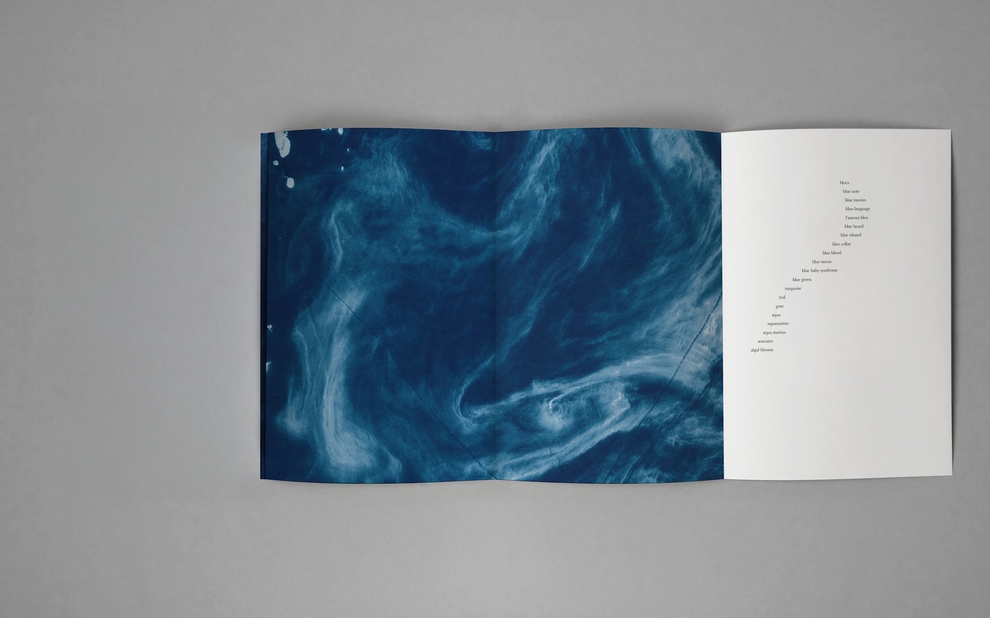 Spread from the book "viridescent, afire" © Małgorzata Stankiewicz