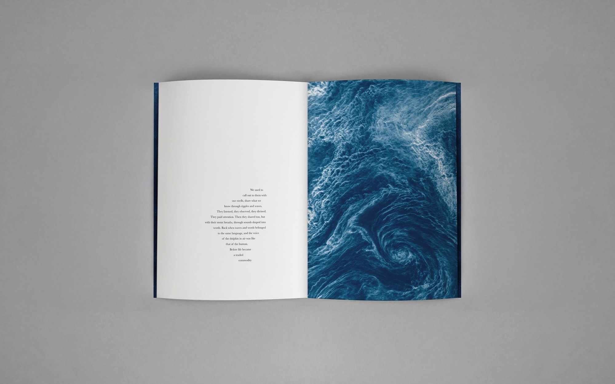 Spread from the book "viridescent, afire" © Małgorzata Stankiewicz