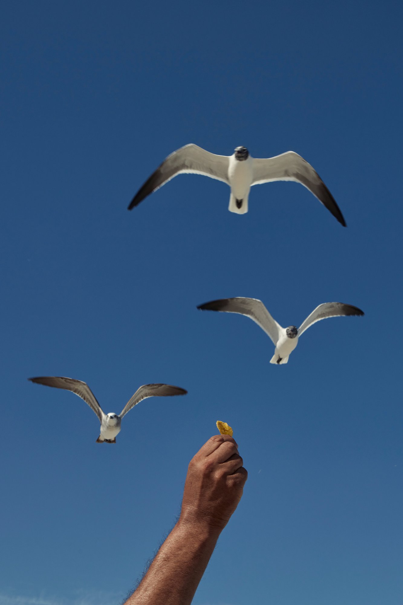 Untitled. Miami Beach, USA. © Rodrigo Koraicho
